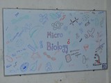 29-Microbiology